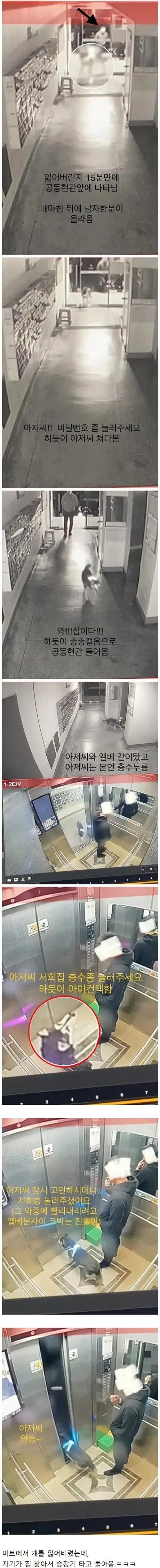 마트에서 장보다 사라진 강아지_2.jpg