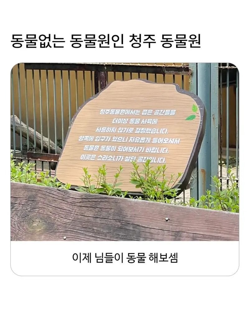 청주동물원.jpg_1.jpg