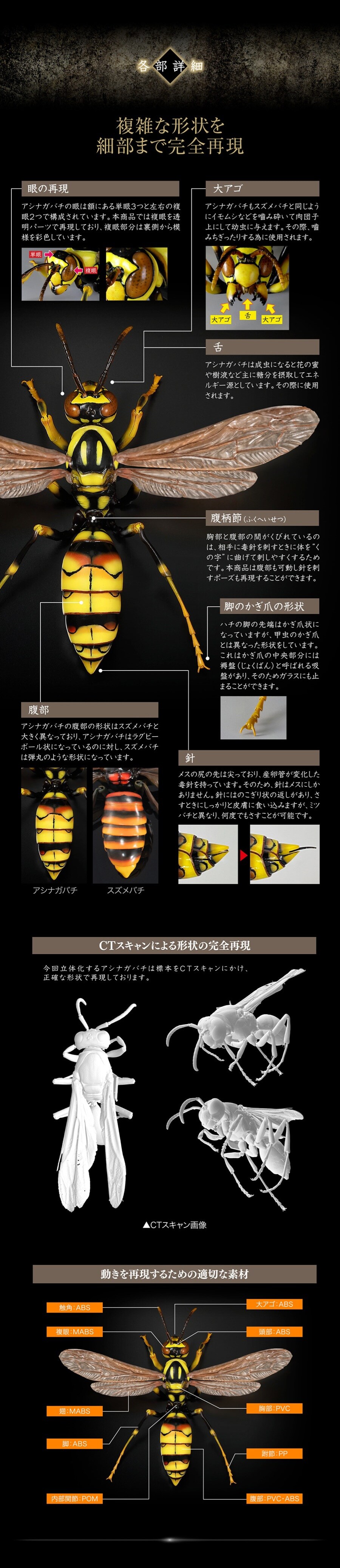 [반다이가샤폰] 생물대도감 어드밴스 쌍살벌_4.jpg