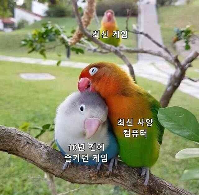 최신 사양 컴퓨터는 일종의 보험 같은 거다_1.jpg