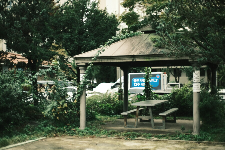 오늘, 사진._4.jpg