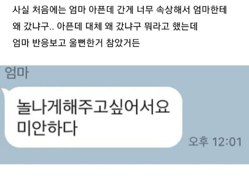 햄버거집에 다녀온 70대 엄마_3.png
