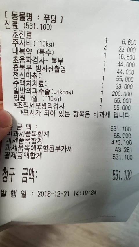 푸딩 병원 진료비 29만원 수술비 47만원_2.webp