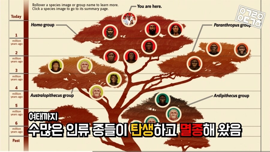 외신) "케데헌, 오늘날 젊은이들에겐 스타워즈같은 작품 일수도"_9.jpg