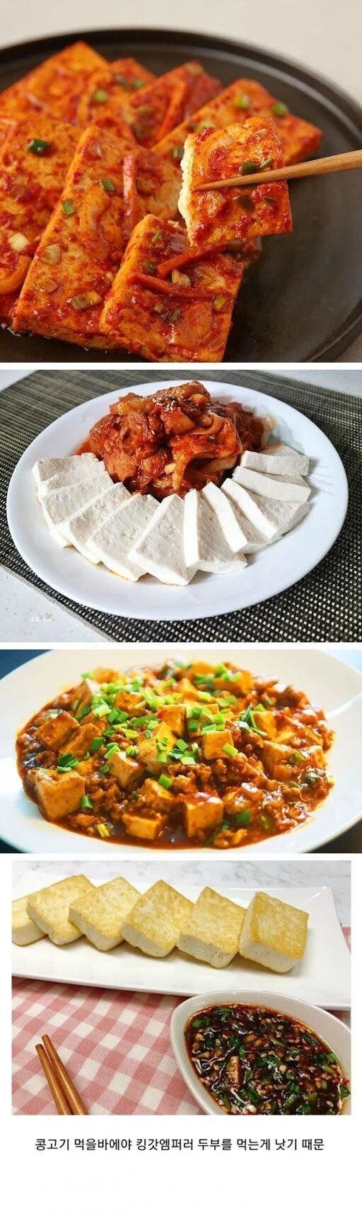 콩고기가 한국에서 인기없는 이유_1.jpg