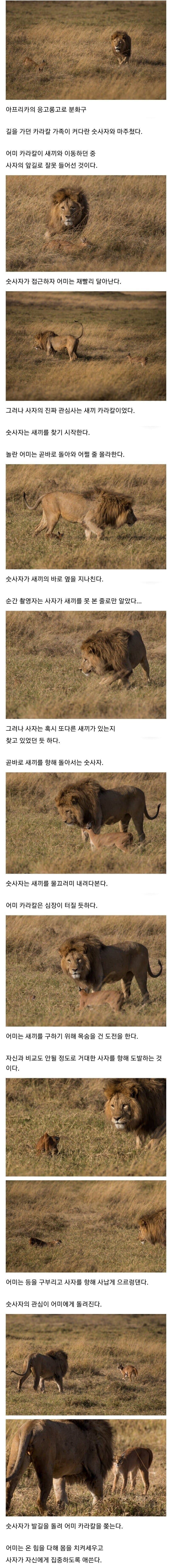 나의 호기심이 누군가에겐 생사의 갈림길_1.jpg