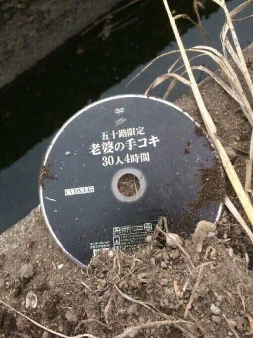 저주받은 버려진 씨디_1.jpg