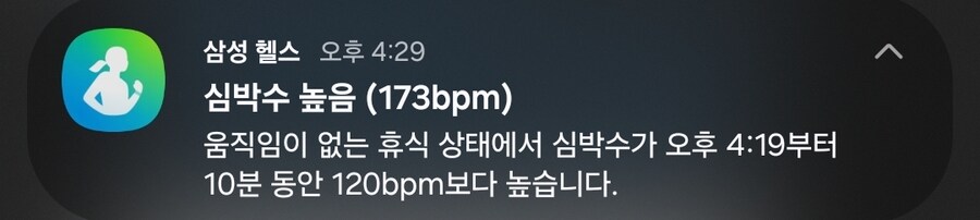 체인소맨) 극장판 그럭저럭 보고왔다_2.jpg