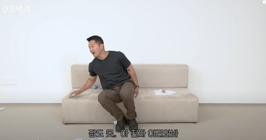 보더콜리보다도 더하다는 견종.JPG_4.png