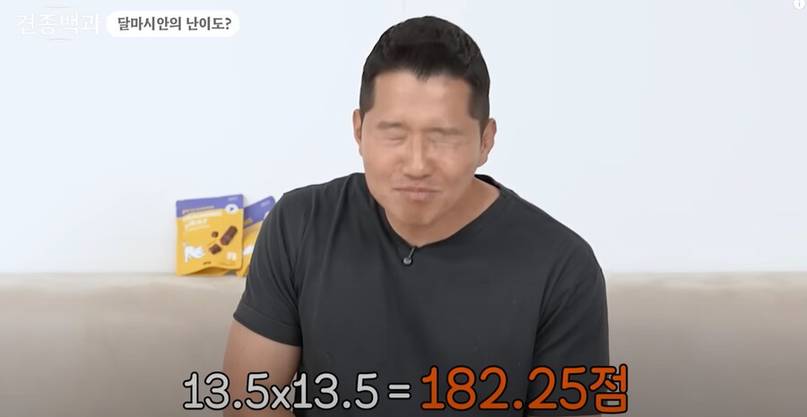 보더콜리보다도 더하다는 견종.JPG_14.png