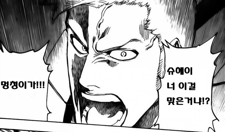 블리치) 불법번역 vs 정발번역_1.jpg