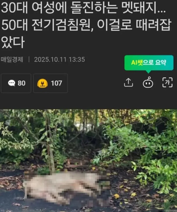 지나가는 선비 현황._1.png