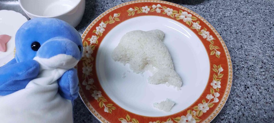 세상 행복한 내 돌고래 카레를 봐줘_1.jpg