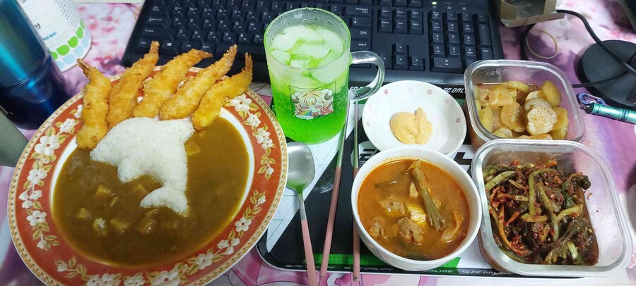 세상 행복한 제 돌고래 카레 보고 가세요_7.jpg