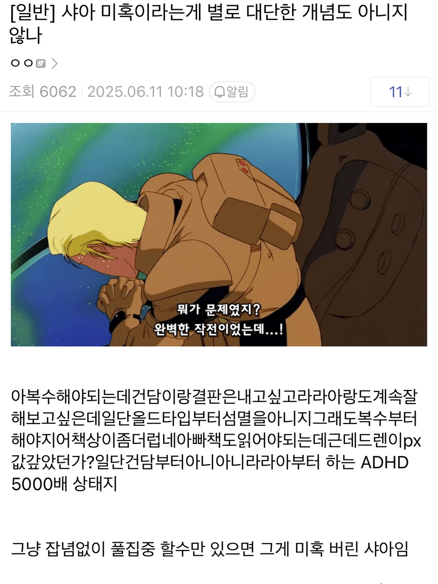 건담) 의외로 샤아를 완벽하게 설명할 수 있는 단어_1.jpg