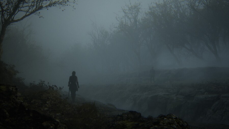 Senua's Saga_ Hellblade II_4.jpg