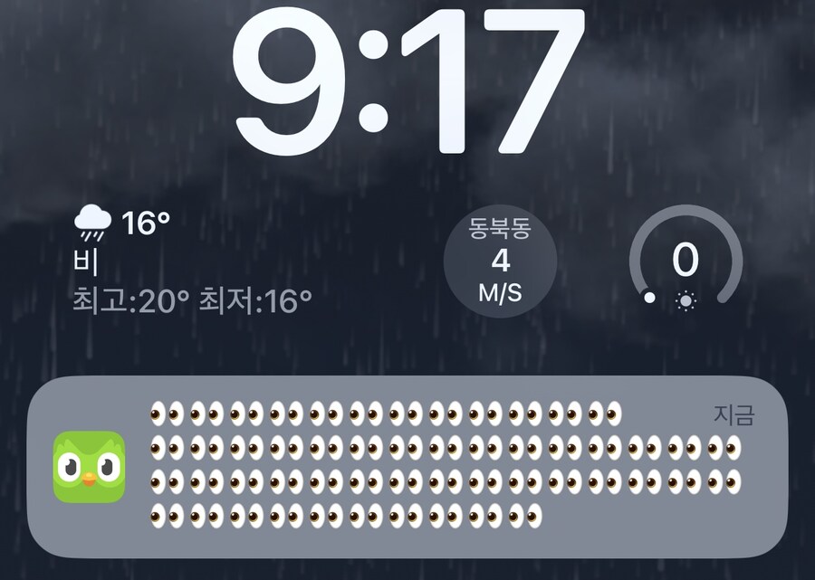 듀오링고 이새1끼 뭐냐??_1.jpg