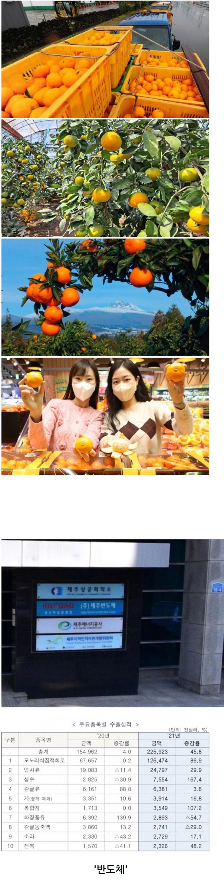 제주도 전체 수출품목 1위 ㄷㄷㄷ_1.jpg