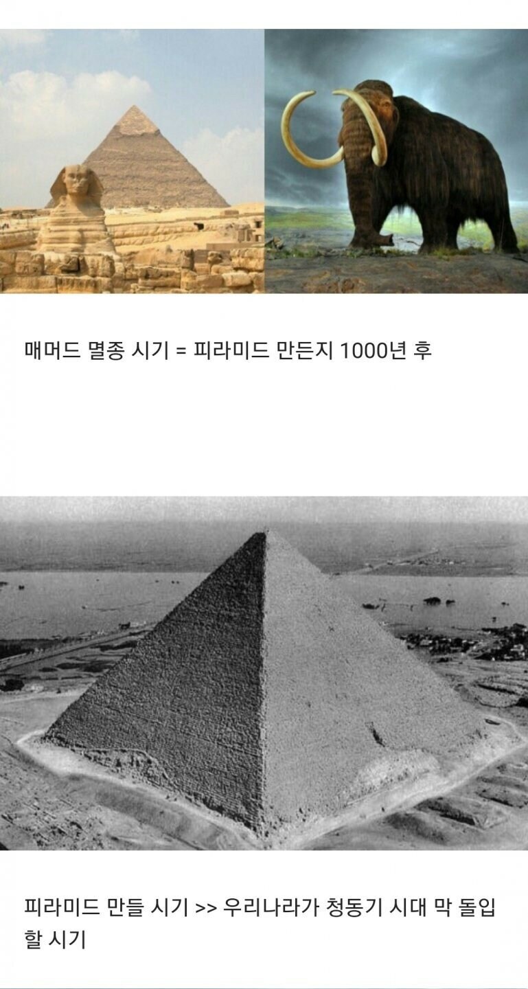 의외로 같은 시기에 존재했던 것들.JPG_1.jpg