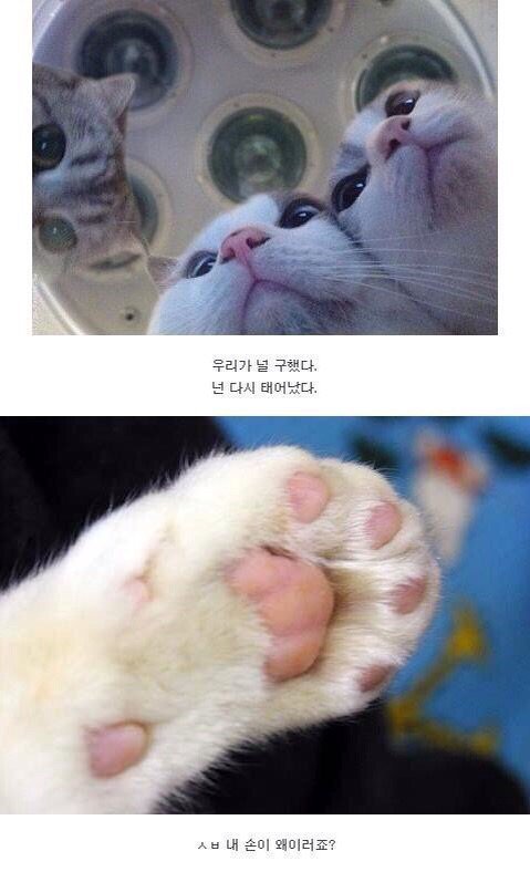 수술을 하다_1.jpg