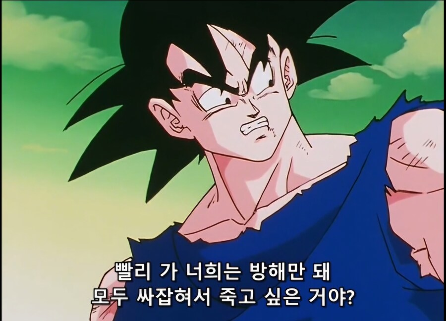 드래곤볼)손오공:니네들 다 ㅈ밥이잖아._4.jpg