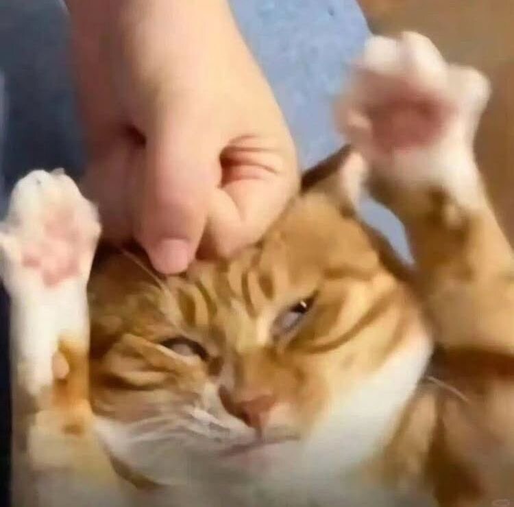 자자_1.jpg