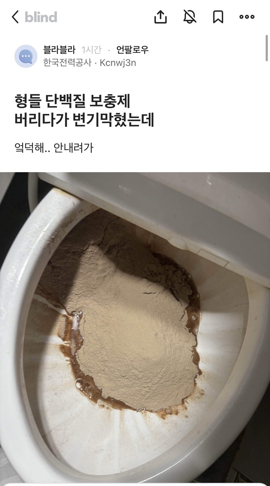 보충제 버리다가 변기막힌 블라인_1.jpg