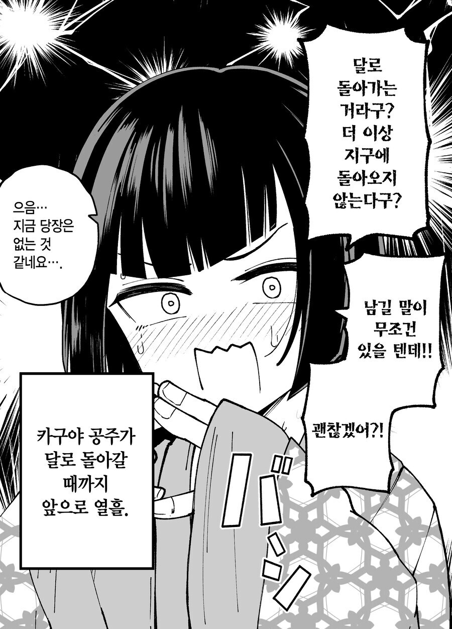 다음화가 나오지 않았던 카구야 공주 만화_4.jpg