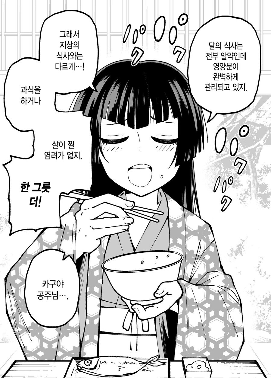 다음화가 나오지 않았던 카구야 공주 만화_10.jpg