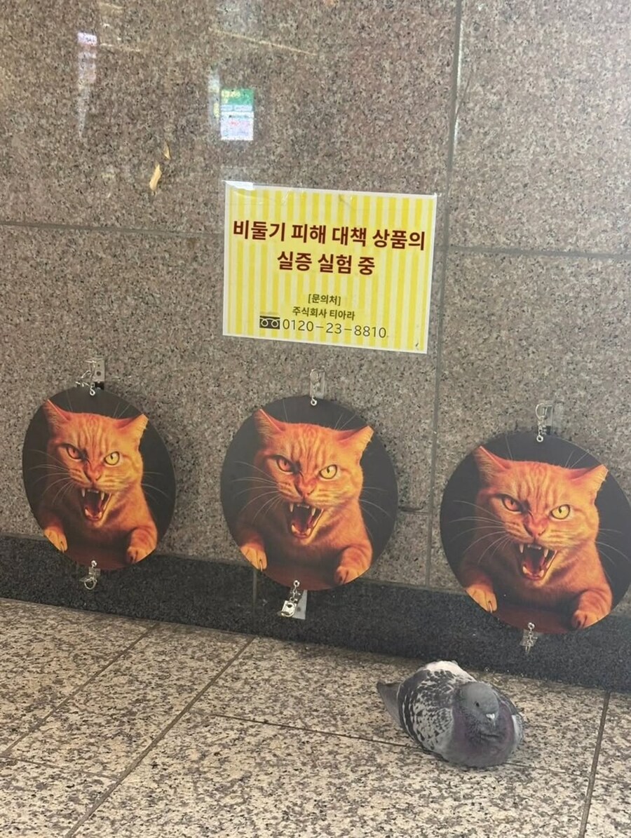 신제품 테스트 결과.jpg_1.jpg