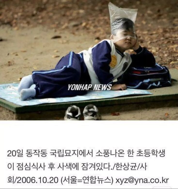 이 초등학생도 어른이 되었겠구나_1.jpg