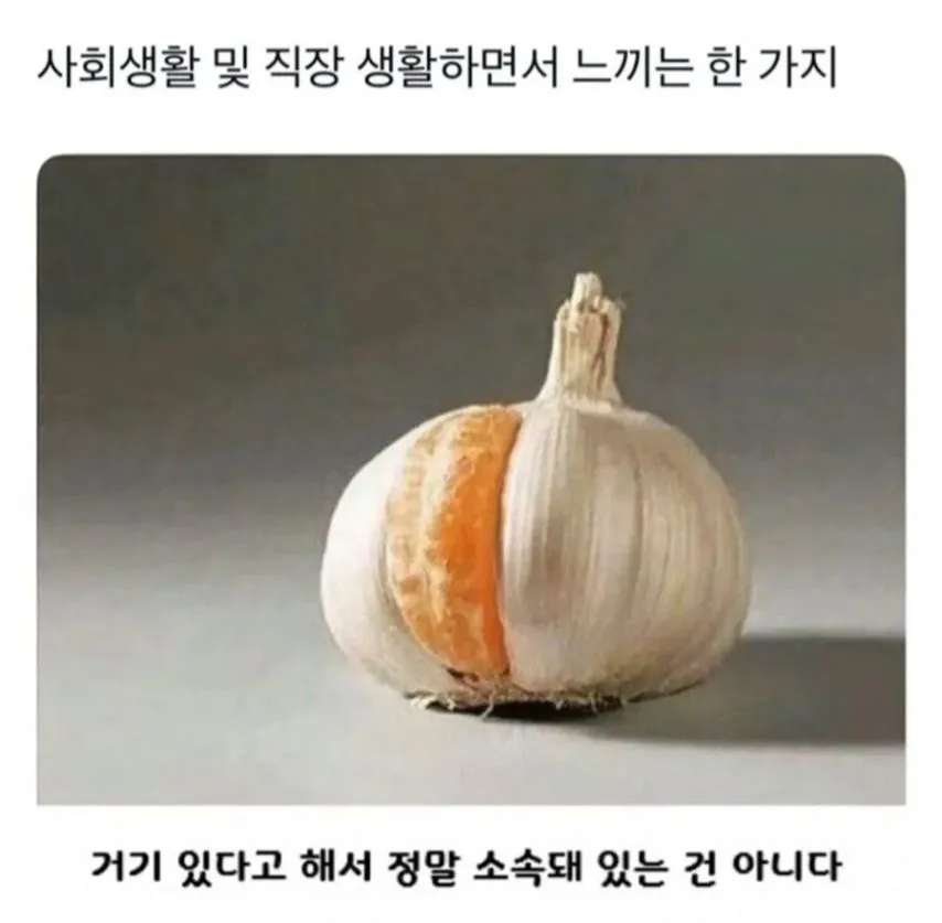 사회생할 하면서 느낀거_1.webp