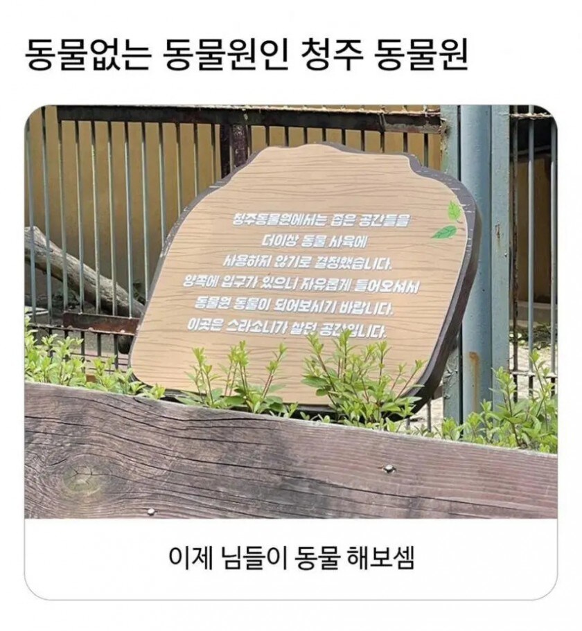 청주 동물원 근황_1.jpg