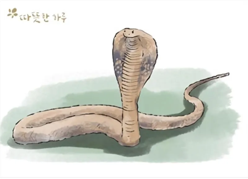 코브라 효과_1.webp