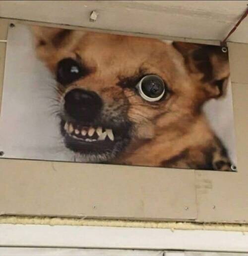 요즘 cctv 기술력 근황. jpg_1.jpg