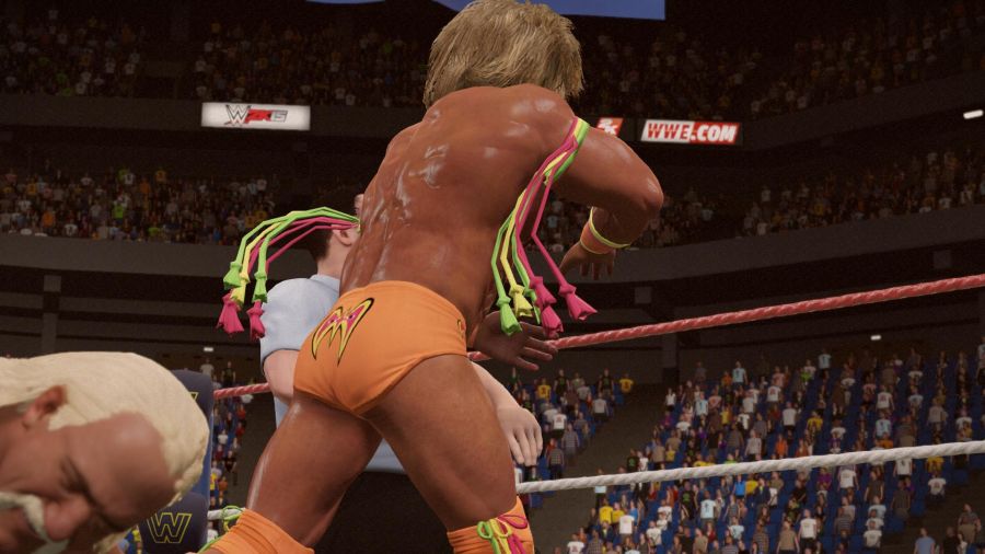 WWE 2K15_13.jpg
