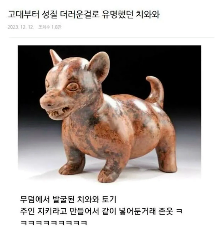 고대부터 성질 더럽기로 유명했던 치와와.jpg_1.webp