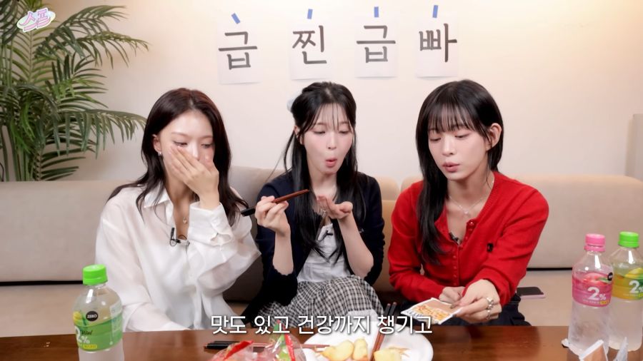 의외로 여자아이돌이 좋아하는것_4.png