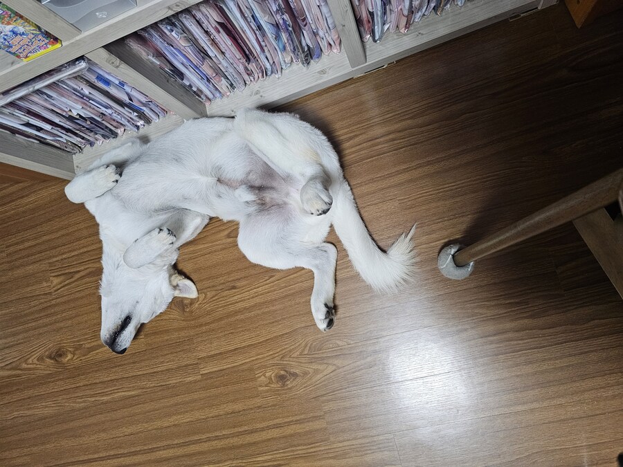 저는 범법자입니다_2.jpg