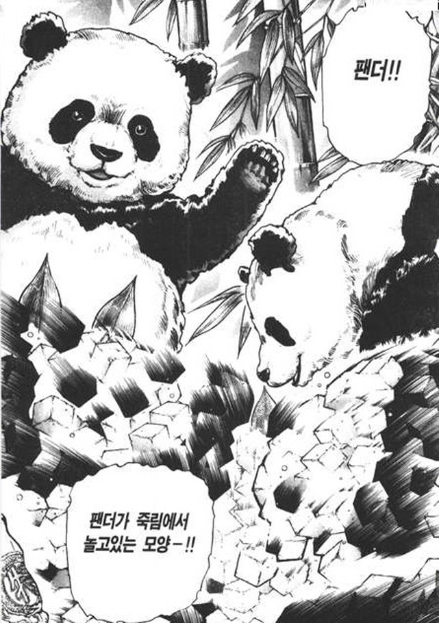 [중화일미]대마술 팬더 두부_4.jpg
