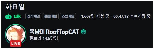 옥냥이 아침방송 시청자 많네_1.png