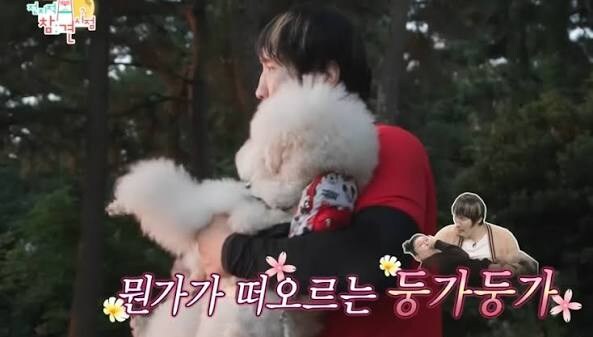 최홍만 귀여운 푸들키우네_1.jpg