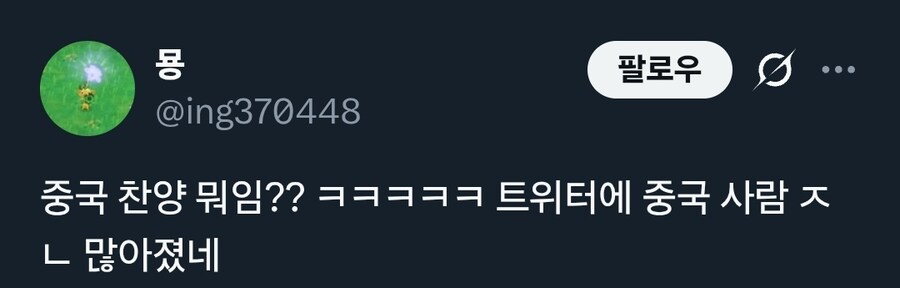 중국 차 때문에 난리난 X(트위터)_3.jpg