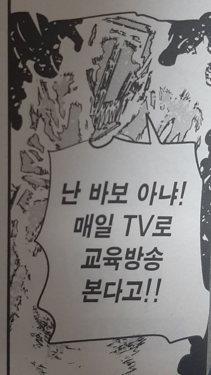 포치타는 알고 있었을까?_1.png
