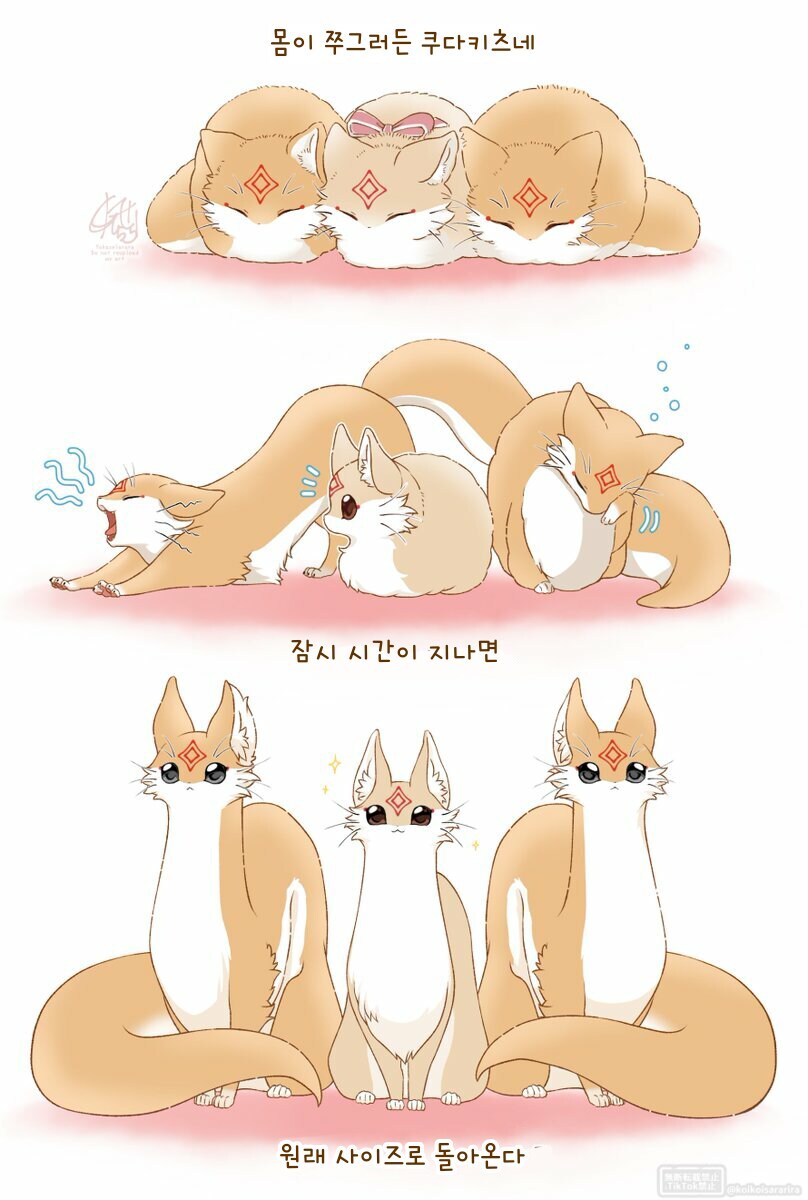 쿠다키츠네의 일상 만화 모음+서적 발매 정보_39.jpg
