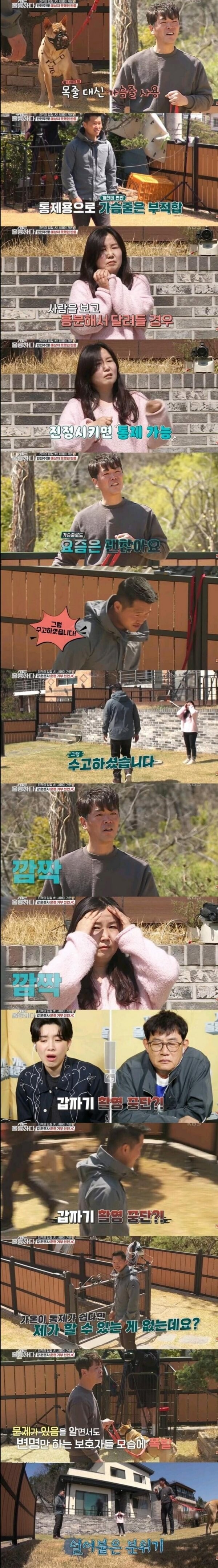 개물림 사고 대부분의 원인_3.jpg