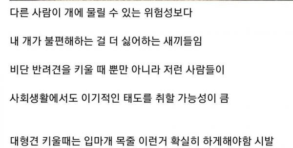 개물림 사고 대부분의 원인_4.jpg