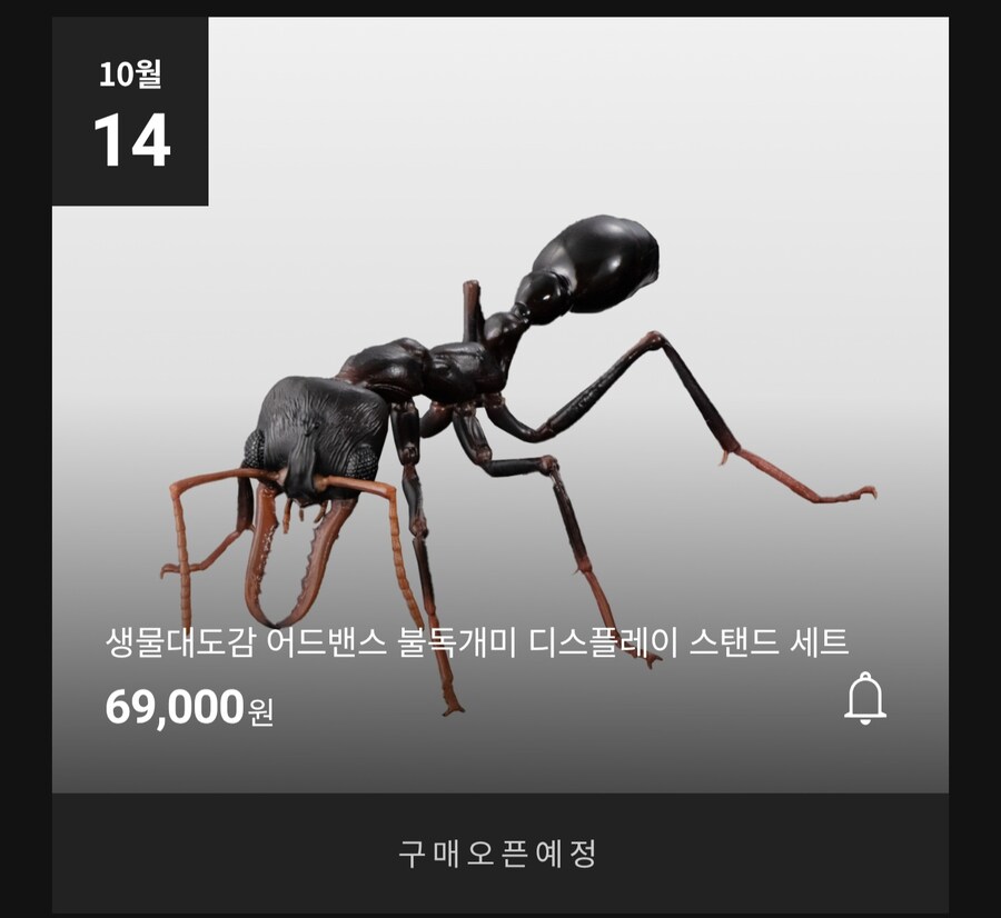 [반남코몰] 생물대도감 불독 개미, 사슴벌레 11. 오후 4시 예약 시작_1.jpg