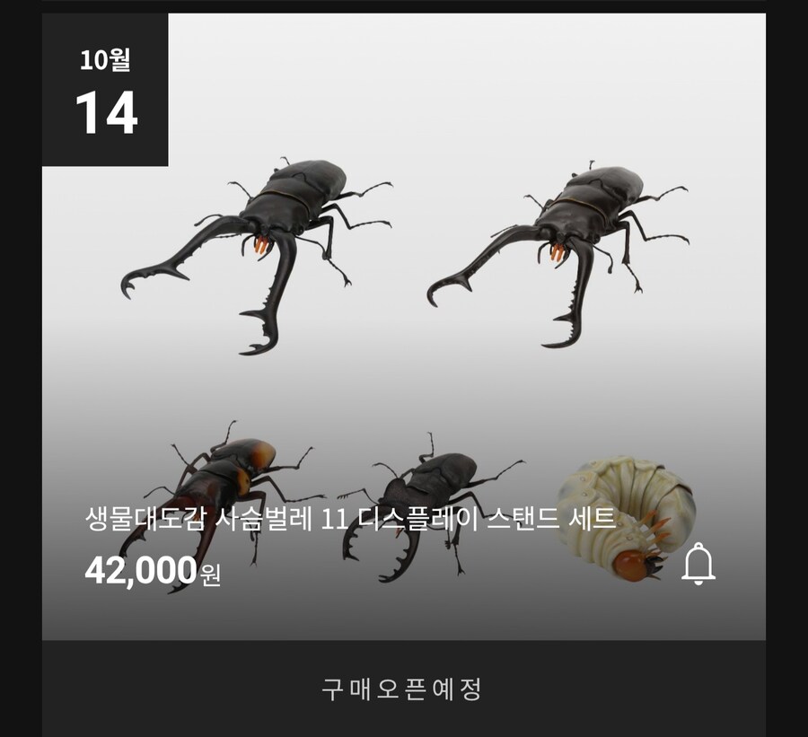 [반남코몰] 생물대도감 불독 개미, 사슴벌레 11. 오후 4시 예약 시작_4.jpg