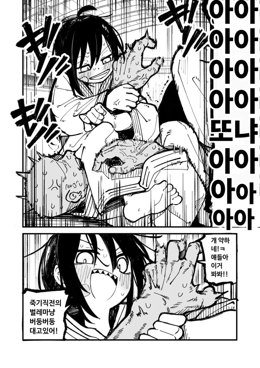 사내대장부처럼 행동하는 말괄량이 소녀.manhwa_13.webp